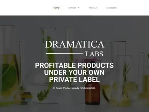 Dramatica Labs Website homepage