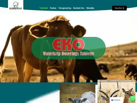 Ecorm Group Website homepage